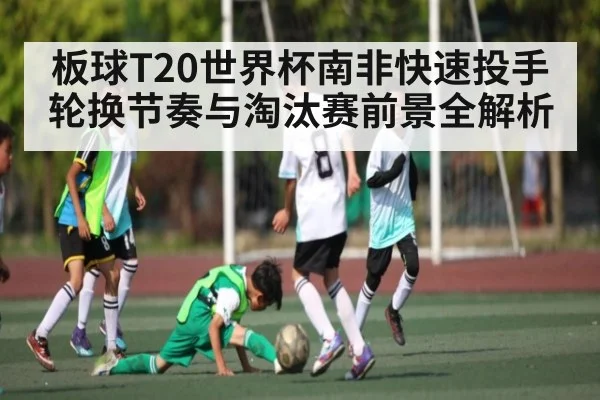 板球T20世界杯南非快速投手轮换节奏与淘汰赛前景全解析